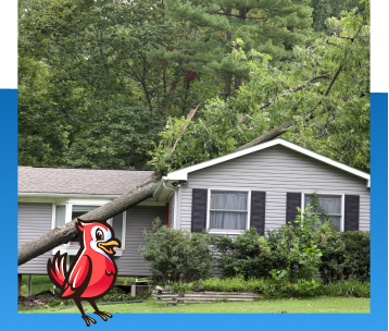 Emergency Roof Repair in Indianapolis, IN