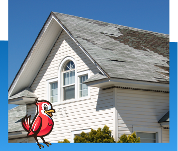 Roof Damage Insurance Claims in Indianapolis, IN