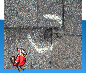 Roof Inspection in Noblesville, IN